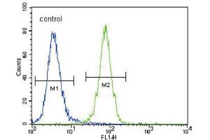 Flow Cytometry (FACS) image for anti-Discoidin Domain Receptor tyrosine Kinase 1 (DDR1) antibody (ABIN3003394) (DDR1 Antikörper)