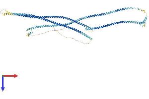 CCDC170 Protein (AA 1-715) (His tag)