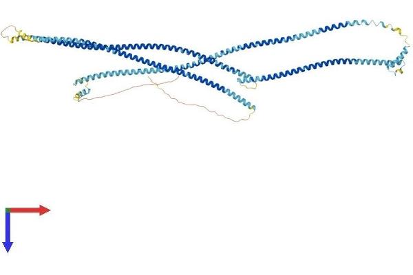 CCDC170 Protein (AA 1-715) (His tag)