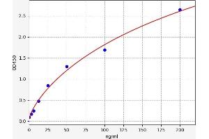 C5 ELISA Kit