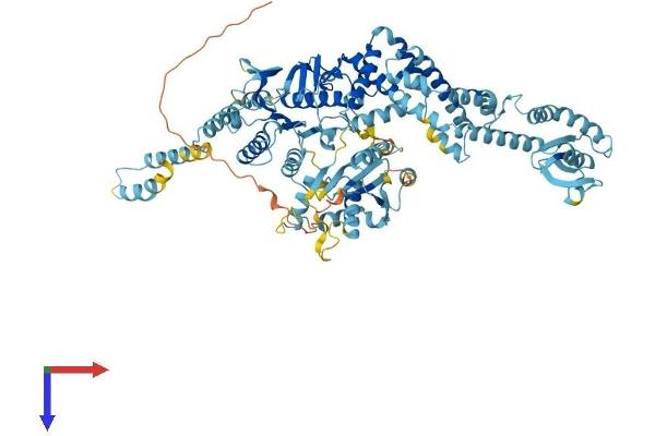 MSH5 Protein (AA 1-833) (His tag)