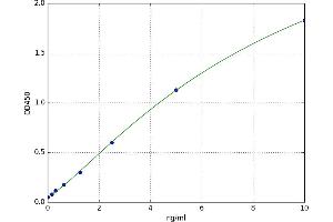 A typical standard curve