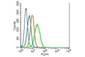 Human U937 cells probed with IL-3R alpha Polyclonal Antibody, Unconjugated  (green) at 1:100 for 30 minutes followed by a PE conjugated secondary antibody compared to unstained cells (blue), secondary only (light blue), and isotype control (orange).