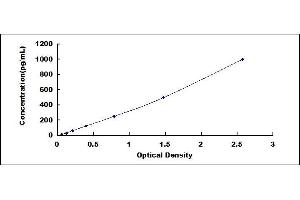 S100A8 ELISA Kit