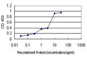 Detection limit for recombinant GST tagged PIN1 is approximately 0. (PIN1 Antikörper  (AA 64-163))