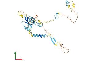 Protein Structure (PS) image for Solute Carrier Family 7, Member 6 Opposite Strand (SLC7A6OS) (AA 1-309) protein (His tag) (ABIN7545884)