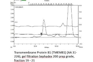 Size-exclusion chromatography-High Pressure Liquid Chromatography (SEC-HPLC) image for Transmembrane Protein 81 (TMEM81) (AA 31-226) protein (His tag) (ABIN3074693)