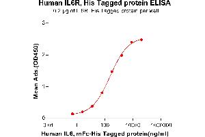 ELISA plate pre-coated by 2 μg/mL (100 μL/well) Human IL6R, His tagged protein (ABIN6964085) can bind Human IL6, mFc-His tagged protein (ABIN6961105) in a linear range of 0. (IL-6 Receptor Protein (His tag))