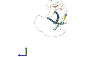 Protein Structure (PS) image for Huntingtin Associated Protein 1 (HAP1) (AA 1-671) protein (His tag) (ABIN7554070)