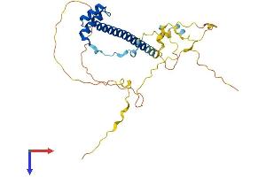 TLX3 Protein (AA 1-291) (His tag)