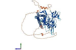Protein Structure (PS) image for Sorting Nexin 9 (SNX9) (AA 1-595) protein (His tag) (ABIN7555511)