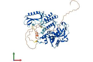 Protein Structure (PS) image for Poly (ADP-Ribose) Polymerase 2 (PARP2) (AA 1-583) protein (His tag) (ABIN7550618)