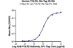 Immobilized Human FOLR2, His Tag at 0. (FOLR2 Protein (AA 17-228) (His tag))