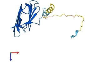 PTGES3 Protein (AA 1-160) (His tag)