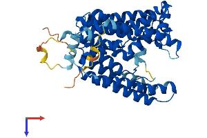 PIGM Protein (AA 1-423) (His tag)