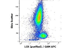Flow cytometry intracellular staining pattern of human peripheral whole blood using anti-LCK (LCK-01) purified antibody (concentration in sample 9 μg/mL, GAM APC).