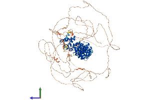 PUM2 Protein (AA 1-1066) (His tag)
