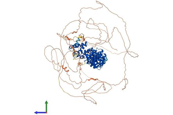 PUM2 Protein (AA 1-1066) (His tag)