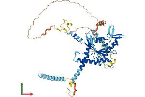 Protein Structure (PS) image for Septin 4 (SEPT4) (AA 1-478) protein (His tag) (ABIN7563058)