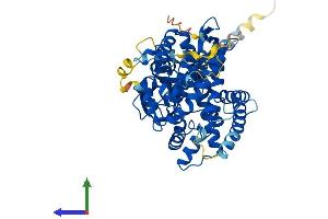 AlphaFold protein structure predicition of Human Recombinant CYP26C1 Protein, UniprotID Q6V0L0