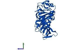 Protein Structure (PS) image for Jumonji Domain Containing 7 (JMJD7) (AA 1-316) protein (His tag) (ABIN7562807)