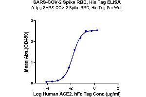 Immobilized SARS-COV-2 Spike RBD, His Tag at 1 μg/mL (100 μL/Well) on the plate.