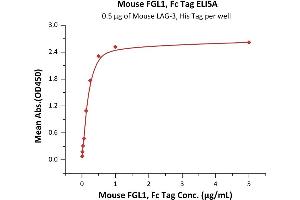 Immobilized Mouse LAG-3, His Tag (ABIN2870832,ABIN2870833) at 5 μg/mL (100 μL/well) can bind Mouse FGL1, Fc Tag (ABIN6973070) with a linear range of 0. (FGL1 Protein (AA 23-314) (Fc Tag))