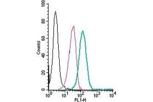 Cell surface detection of PAFR by direct flow cytometry in live intact human  monocytic leukemia cells: + Rabbit IgG isotype control-FITC. (PTAFR Antikörper  (Extracellular) (FITC))