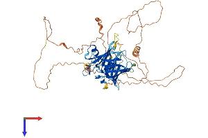 TULP1 Protein (AA 1-543) (His tag)