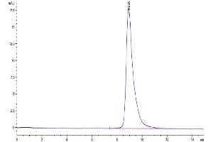 Size-exclusion chromatography-High Pressure Liquid Chromatography (SEC-HPLC) image for Leukocyte-Associated Immunoglobulin-Like Receptor 1 (LAIR1) (AA 22-163) protein (His-Avi Tag,Biotin) (ABIN7275119)
