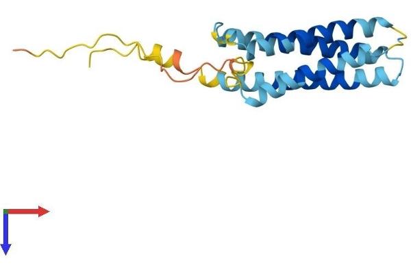 CMTM6 Protein (AA 1-183) (His tag)