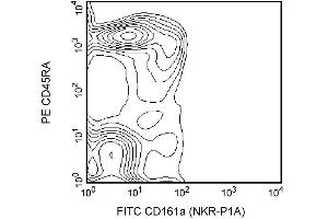 Blocking of Fc-mediated binding to FcgammaII receptors (CD32) on rat splenocytes. (Fc gamma RII (CD32) Antikörper)