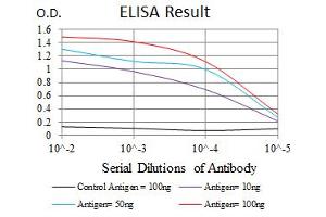 ELISA image for anti-Cytochrome P450, Family 1, Subfamily A, Polypeptide 1 (CYP1A1) antibody (ABIN1106884)