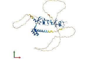 Protein Structure (PS) image for LIM Homeobox 5 (LHX5) (AA 1-402) protein (His tag) (ABIN7549085)