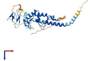 RNF144B Protein (AA 1-303) (His tag)