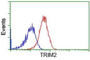 Flow cytometric Analysis of Hela cells, using anti-TRIM2 antibody (ABIN2453850), (Red), compared to a nonspecific negative control antibody, (Blue). (TRIM2 Antikörper  (AA 1-100, AA 645-744))