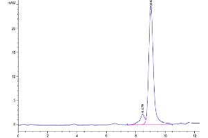 Size-exclusion chromatography-High Pressure Liquid Chromatography (SEC-HPLC) image for S100 Calcium Binding Protein A9 (S100A9) (AA 1-130) protein (His tag) (ABIN7275542)
