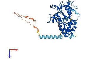 CHST14 Protein (AA 1-376) (His tag)
