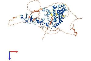 PRICKLE3 Protein (AA 1-615) (His tag)
