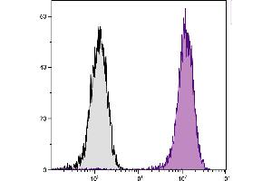 Human T cell leukemia cell line Jurkat was intracellularly stained with Mouse Anti-Human CD107a-PE. (LAMP1 Antikörper  (SPRD))