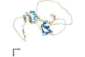 ELF3 Protein (AA 1-391) (His tag)