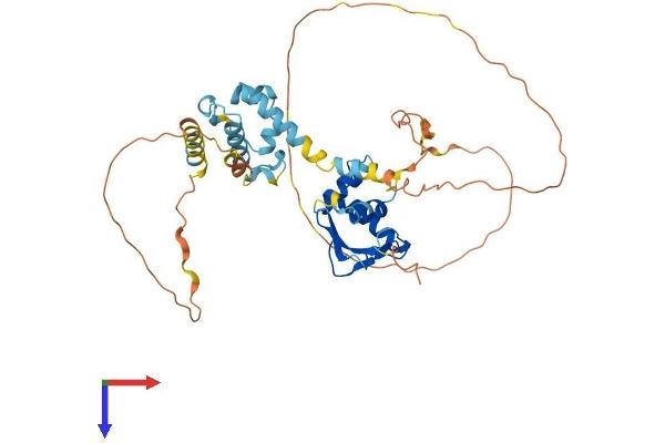 ELF3 Protein (AA 1-391) (His tag)