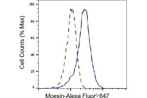 Validation of Moesin knockdown using flow cytometry.