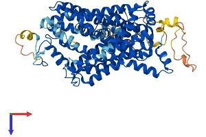 TAUT Protein (AA 1-621) (His tag)