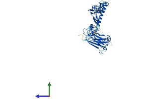 Protein Structure (PS) image for TNF Receptor-Associated Factor 4 (TRAF4) (AA 1-470) protein (His tag) (ABIN7557699)