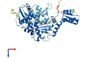 GTF2H4 Protein (AA 1-463) (His tag)