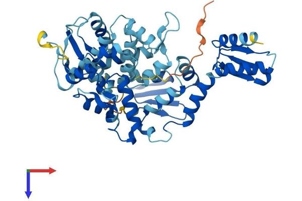 GTF2H4 Protein (AA 1-463) (His tag)