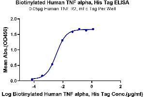 ELISA image for Tumor Necrosis Factor alpha (TNF alpha) (AA 77-233) protein (His-Avi Tag,Biotin) (ABIN7275767)