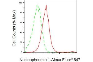 Flow cytometric analysis of Nucleophosmin 1 expression in HeLa cells using Nucleophosmin 1 antibody (ABIN7799671), 1:2,000). (NPM1 Antikörper)