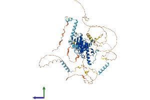 Protein Structure (PS) image for Adducin 1 (Alpha) (ADD1) (AA 1-735) protein (His tag) (ABIN7561784)